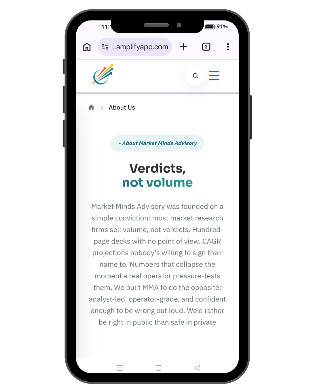 Market Mind Advisory website view 2
